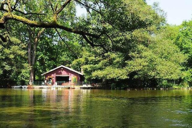 Tretbootfahren auf dem Waldsee