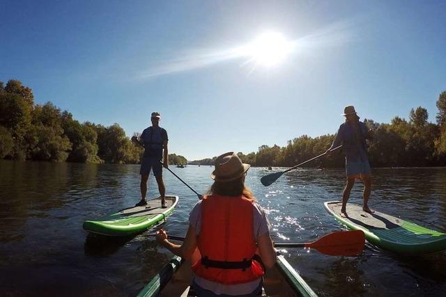 Wildsport Tours
