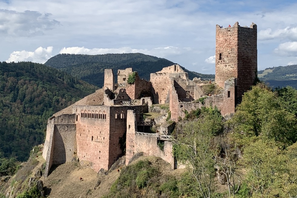 Ulrichsburg (Chteau Saint-Ulrich) - Ribeauvill