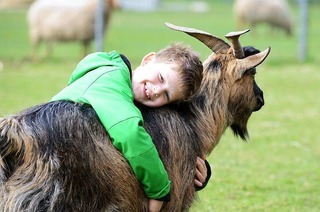 Kindergeburtstag auf dem Mundenhof (nur noch bis Ende 2023)