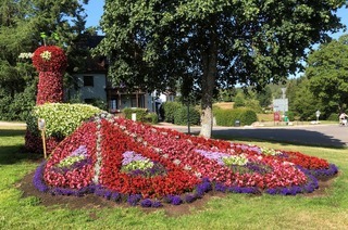 Blumenpfad